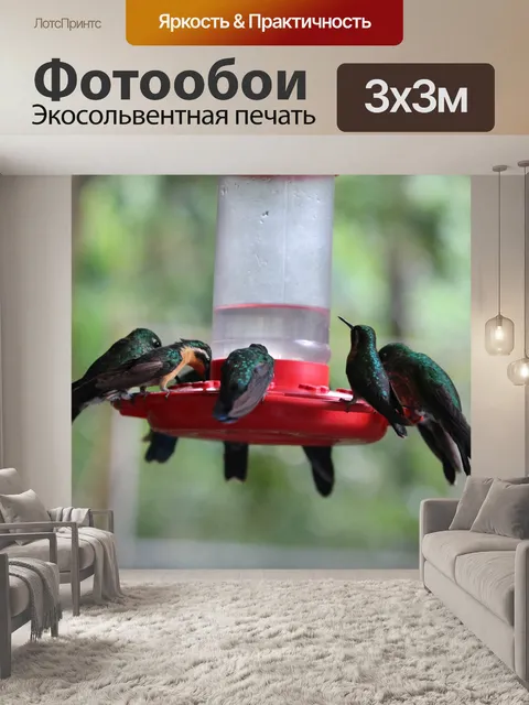 Фотообои Зеленые колибри