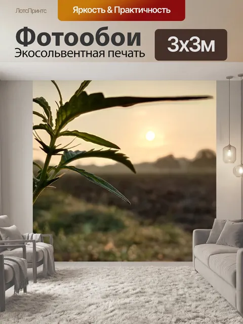 Фотообои Деревья