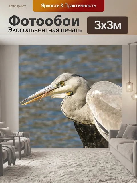 Фотообои Птицы