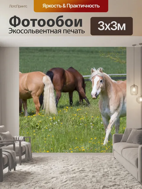 Фотообои Лошади