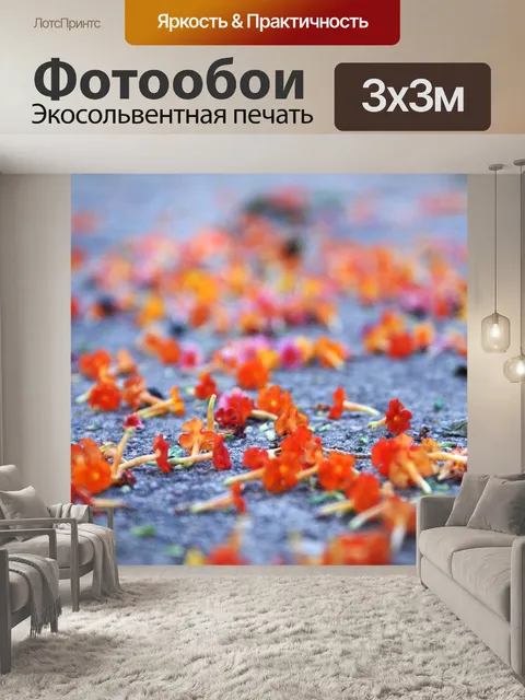 Фотообои Апельсин