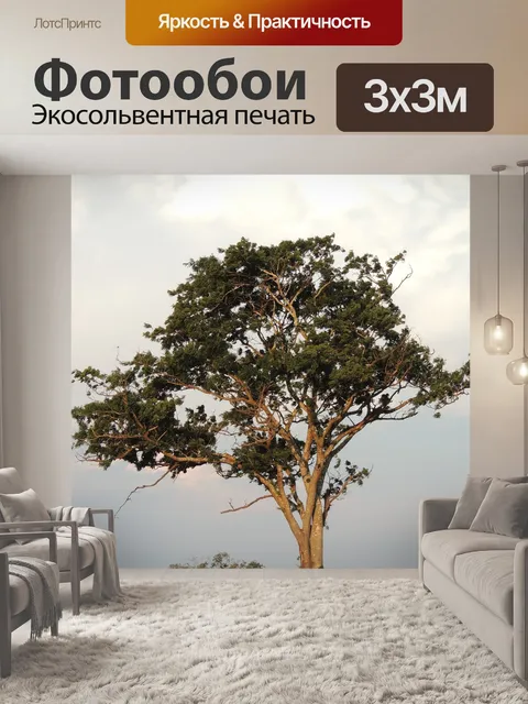 Фотообои Закат