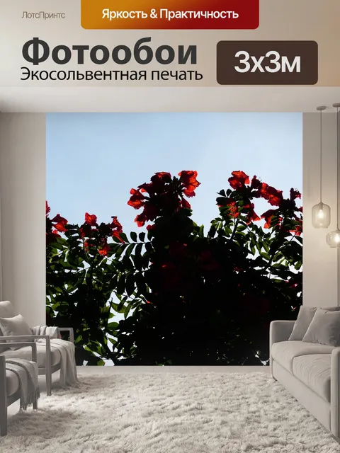 Фотообои Расцветает