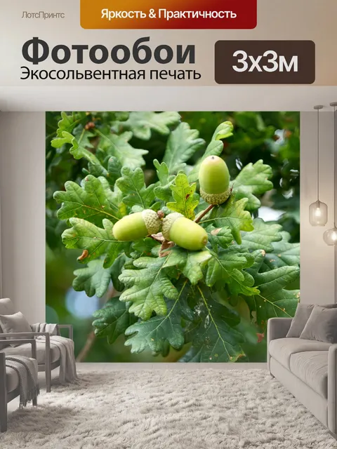 Фотообои Дуб и желуди