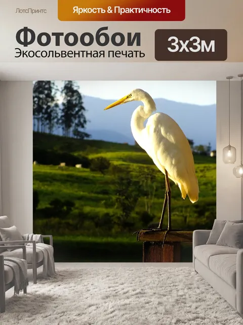 Фотообои Цапля