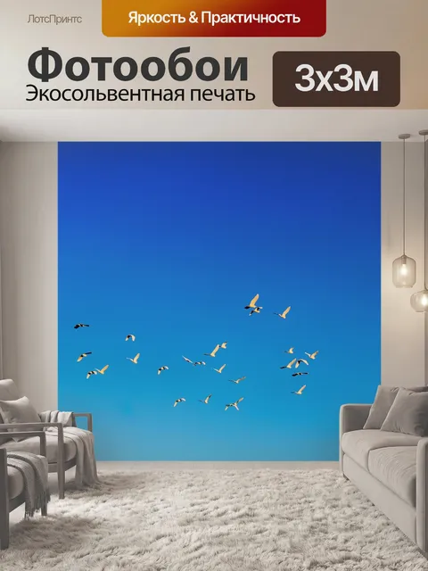 Фотообои Птицы