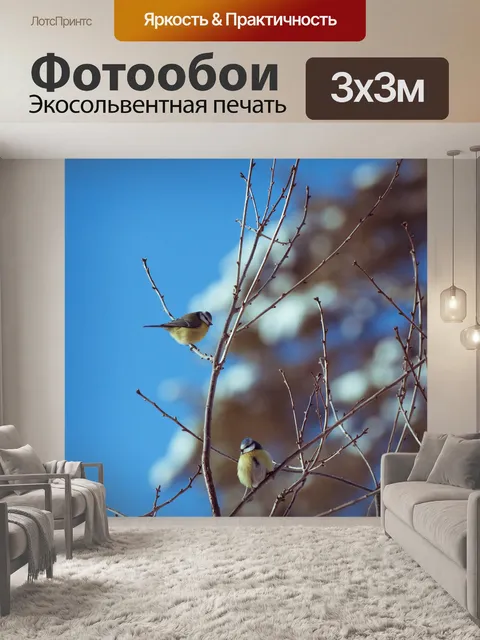 Фотообои Лазоревка