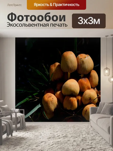 Фотообои Грибы