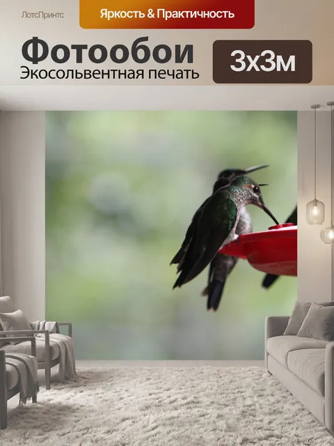 Фотообои Зеленый колибри