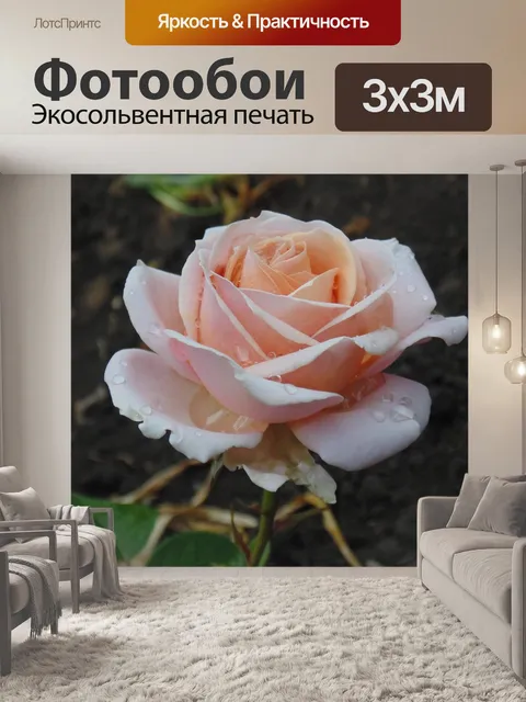 Фотообои Роза