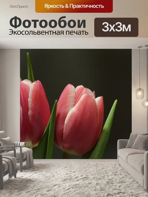 Фотообои Тюльпаны