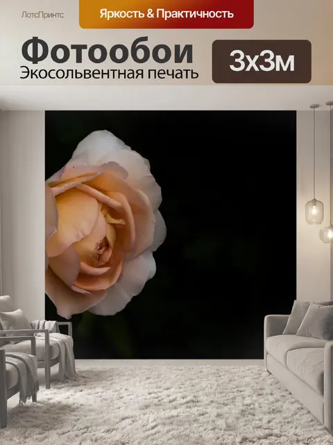 Фотообои Роза