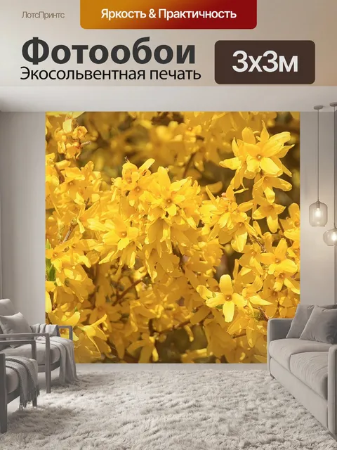 Фотообои Форсайтия