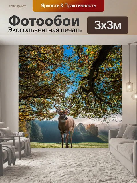 Фотообои Олень