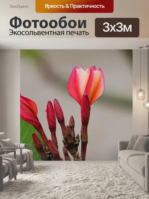 Фотообои Цветы