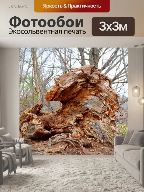 Фотообои Природа