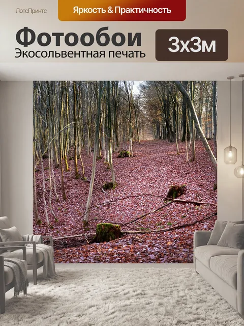 Фотообои Лес