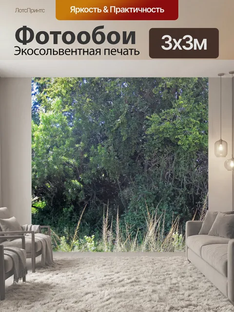 Фотообои солнечный свет на стороне густого куста