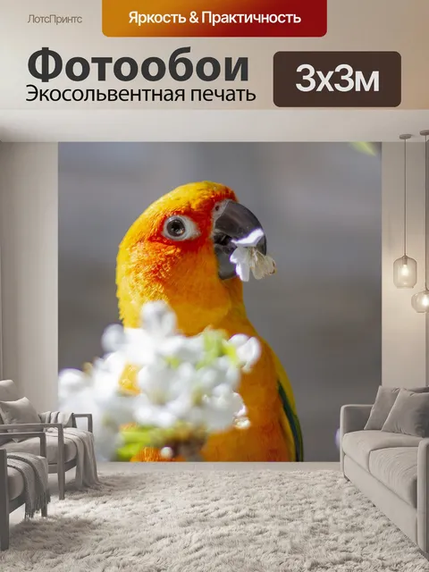 Фотообои Попугай