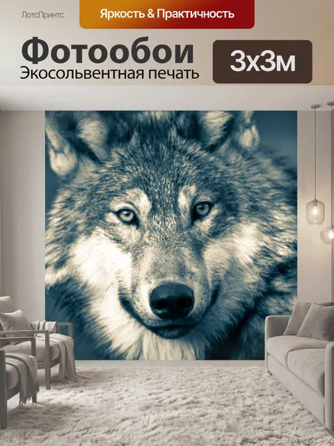 Фотообои Волк, джунгли, волки, ночь