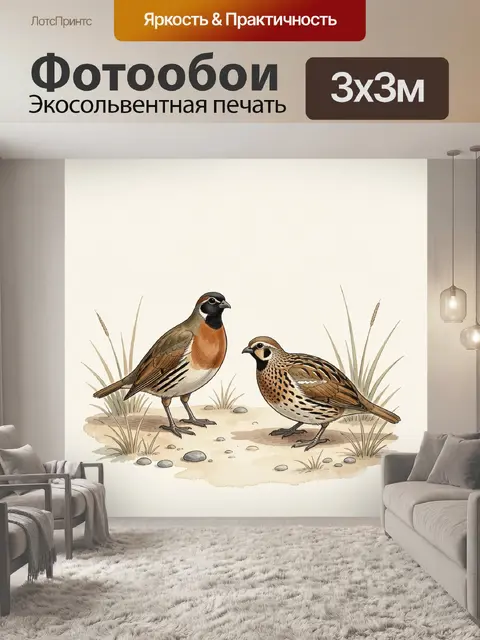 Фотообои Две куропатки среди травы