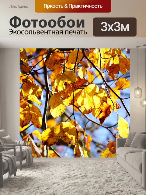 Фотообои Золотая осень