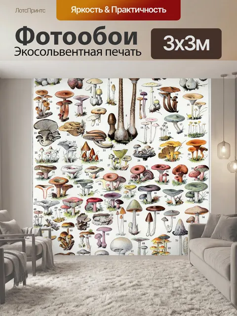 Фотообои Винтажный постер Грибные чемпионы
