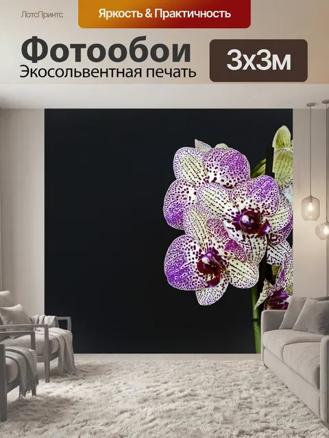 Фотообои Орхидеи