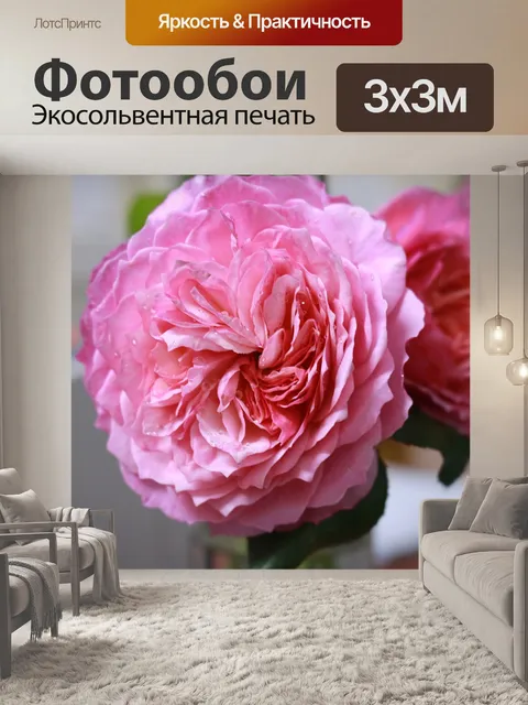 Фотообои Розы