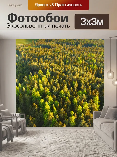 Фотообои Вид с воздуха на вершинах деревьев