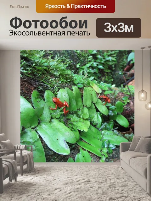 Фотообои Джунгли