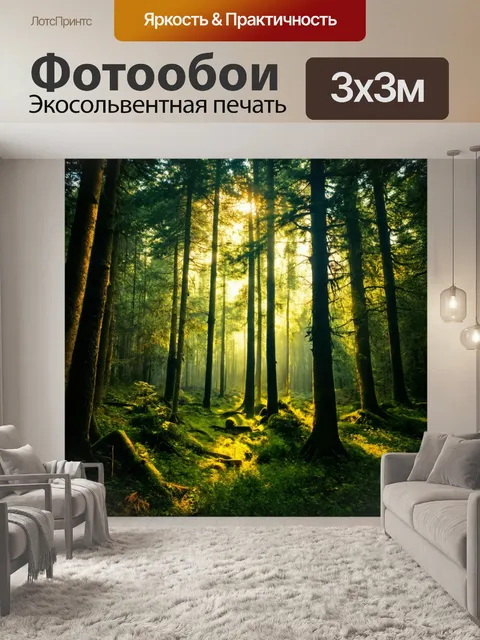 Фотообои лес, где проникает волшебный свет, создающий магическую атмосферу