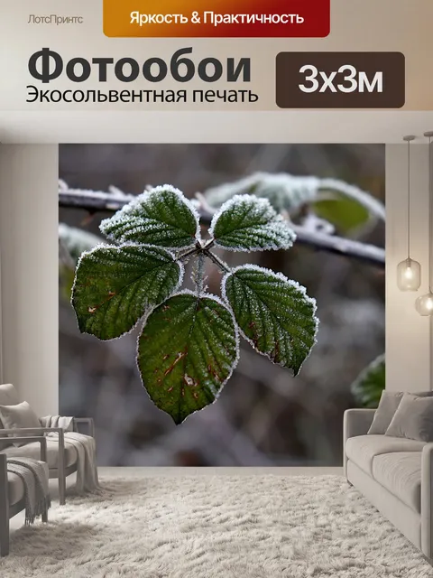 Фотообои Брэмбл