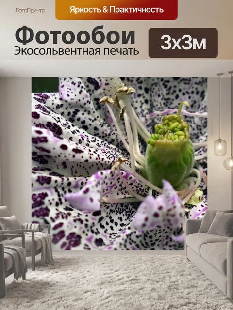 Фотообои Цветы