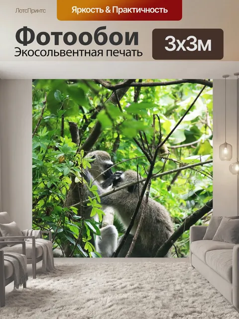 Фотообои две верветки на дереве