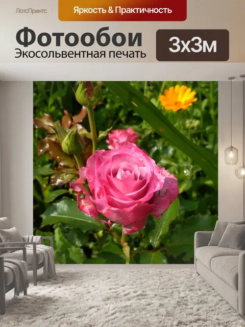 Фотообои Роза