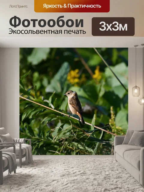 Фотообои Животное