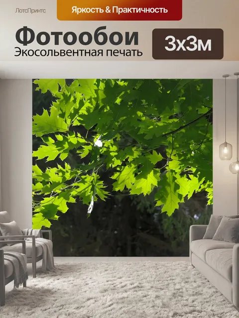 Фотообои Листья