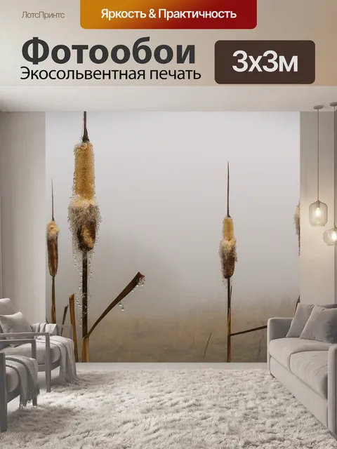 Фотообои Трость