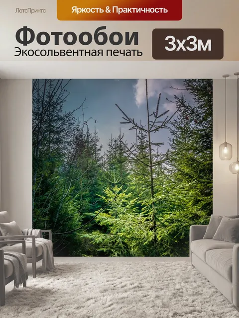 Фотообои Лес