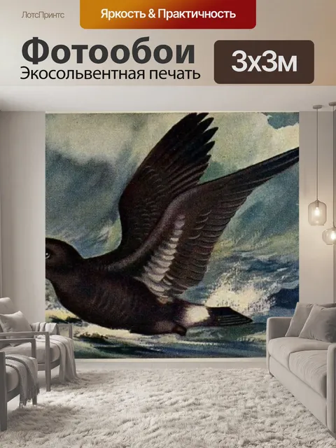 Фотообои Буря Буревестник