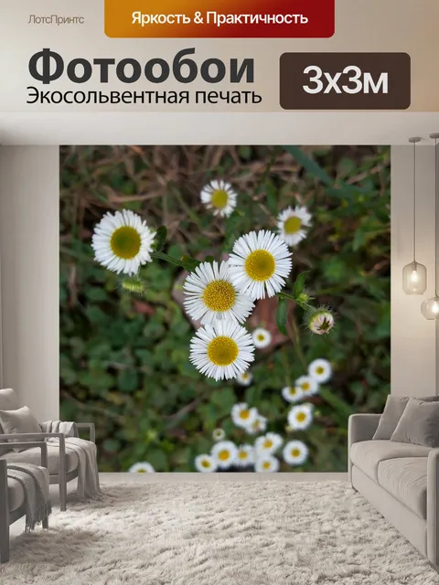 Фотообои Цветы