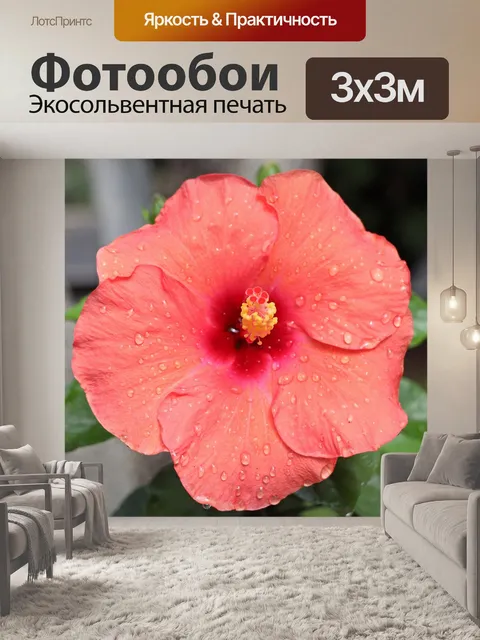 Фотообои Цветок