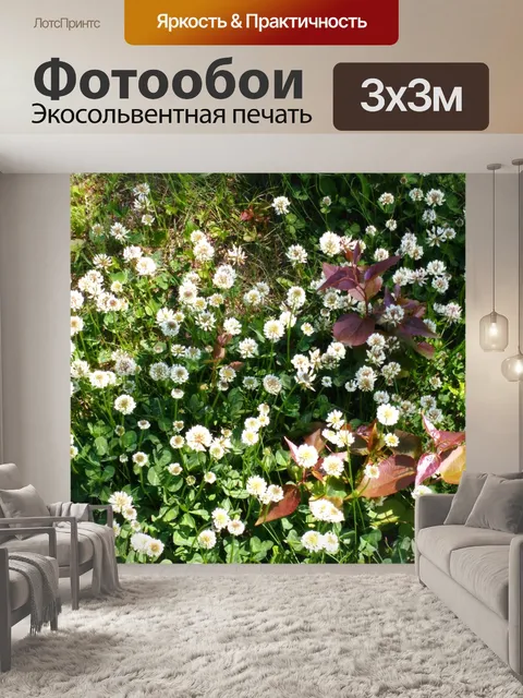 Фотообои Цветы клевера - 1