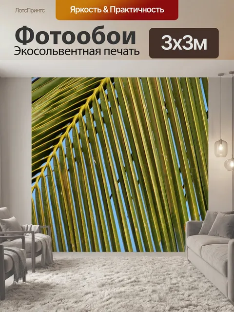Фотообои Кокосовое дерево