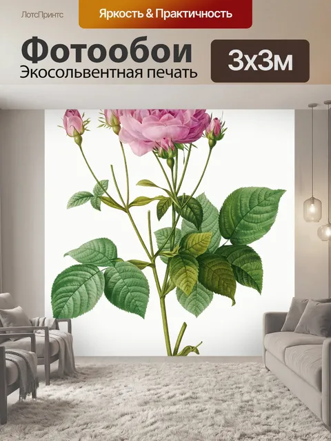 Фотообои Нарисованный цветок розы