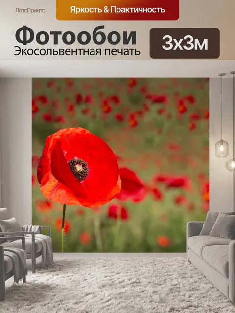 Фотообои Маки