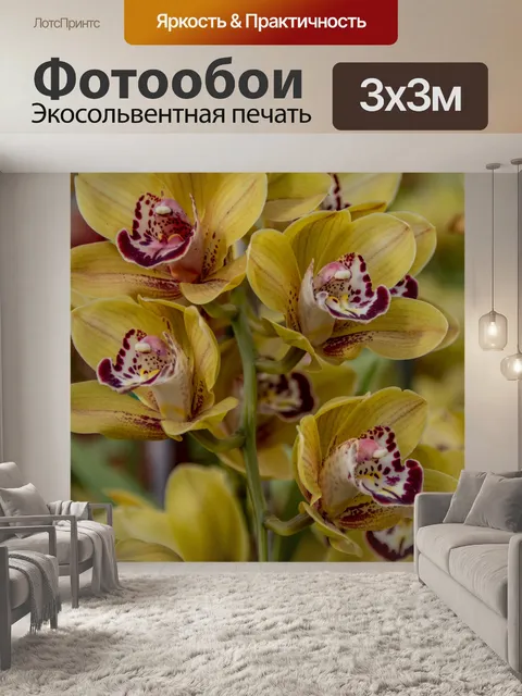Фотообои Орхидеи