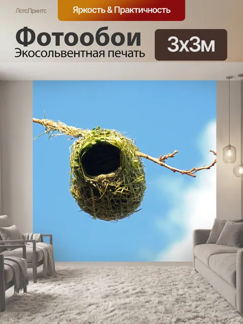 Фотообои недавно сотканное ткацкое гнездо