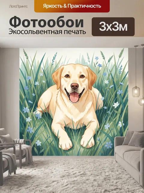 Фотообои Улыбающийся лабрадор в траве